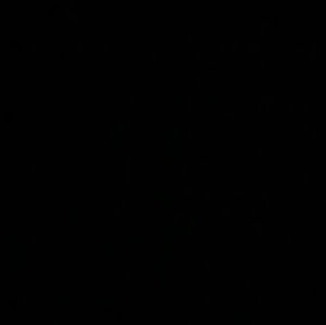 Meet your Posher, Delfin